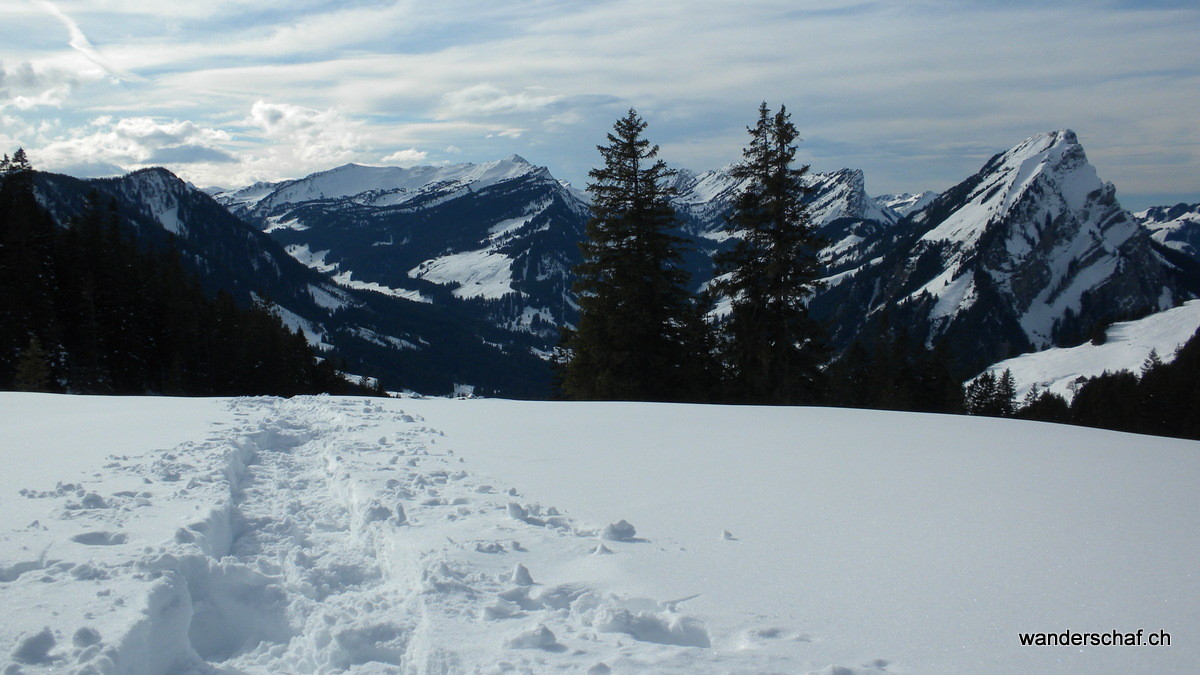 Blick Richtung Rickhubel, Fürstein, Schimbrig