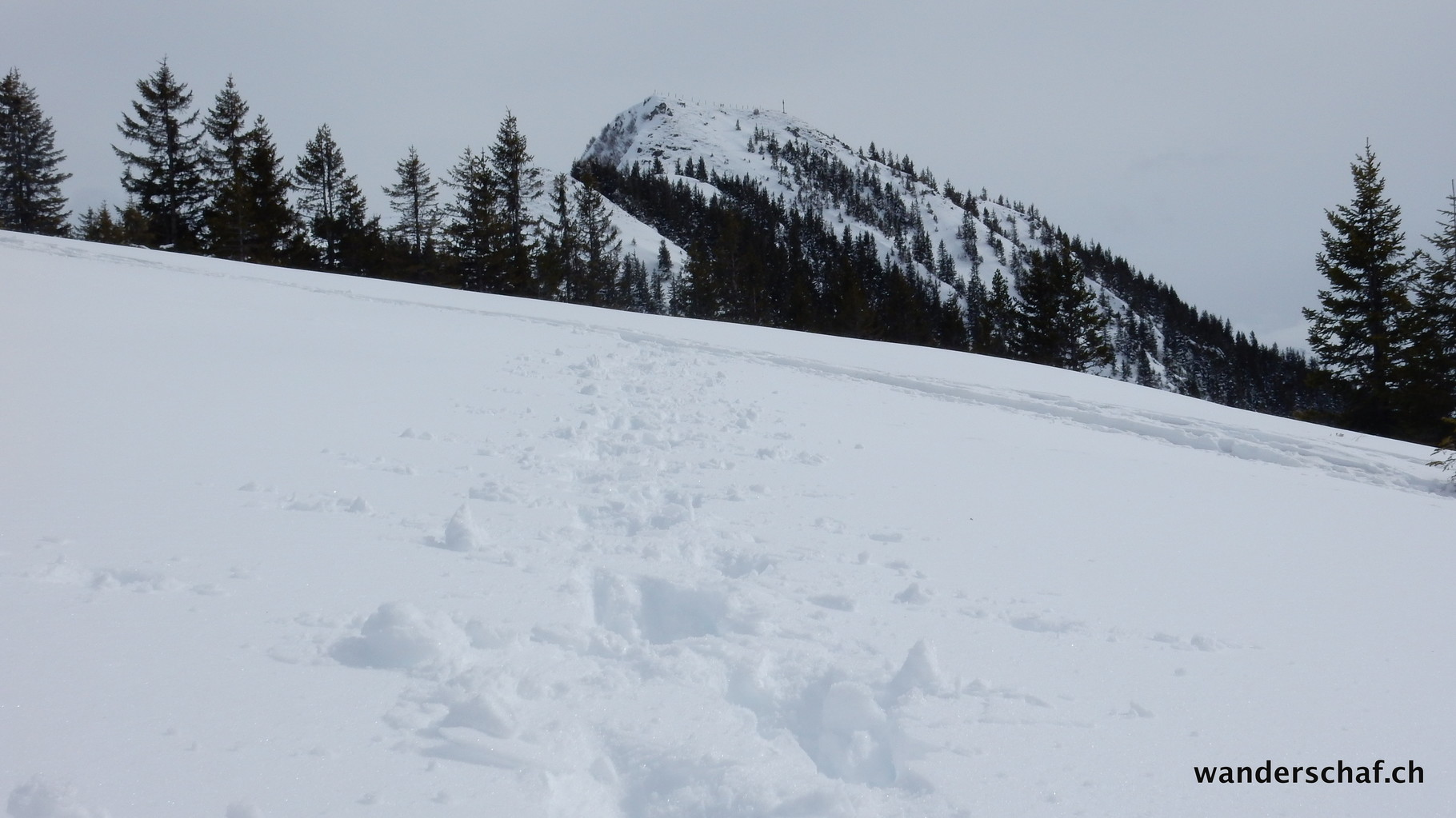 iim Aufstieg zum Miesenstock