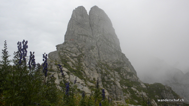 einer der Silberplattenchöpf