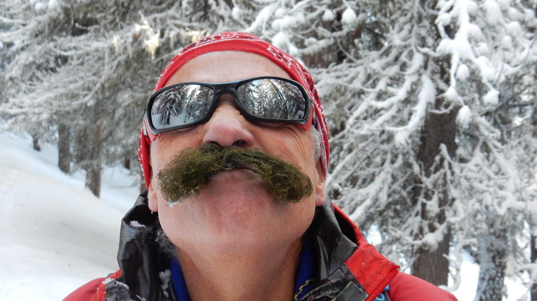 D'Fasnacht isch glub's o no im Gang...