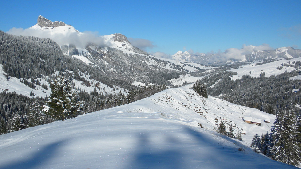unser Abstieg über Habchegg Richtung Harzisbode