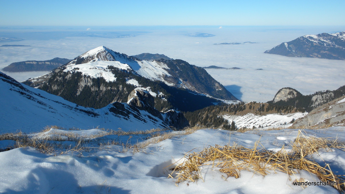 Blick auf's Nebelmeer