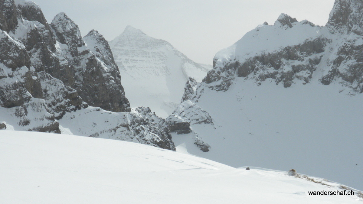 Altels im Saharastaub