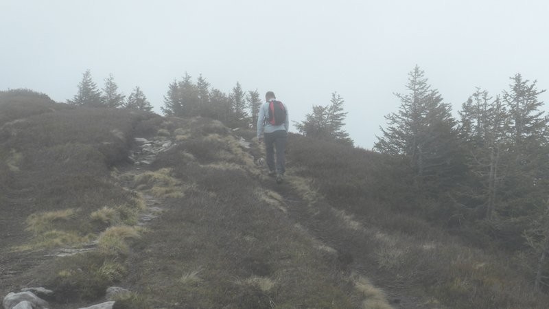 weiter geht's über die moorige Landschaft zum Mittaggüpfi