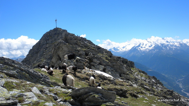 Blick zurück zum Gipfelkreuz