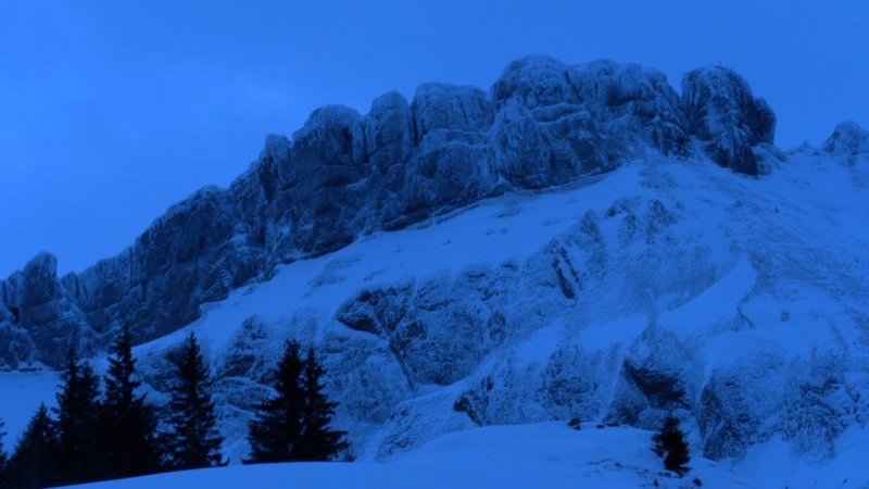 Blick zum Hengst hinauf von Stein