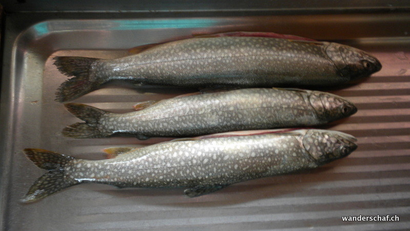 Wer hätte gedacht, dass wir ein solches super Znacht kriegen!?