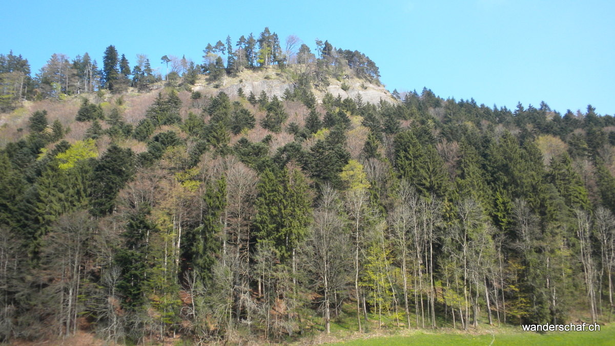 Emmentalfeeling...auch hier gibt's Nagelflühe