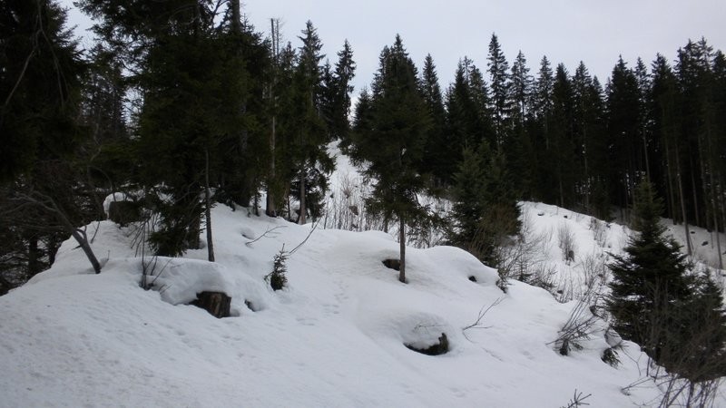 wilder Aufstieg von Wittefär nach Chadhus