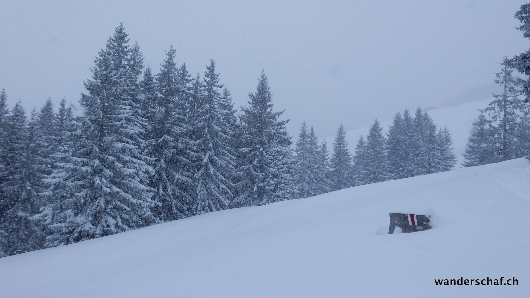 hier oben hat's Schnee