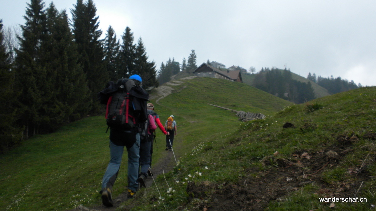 Aufstieg zur Hundwiler Höhe