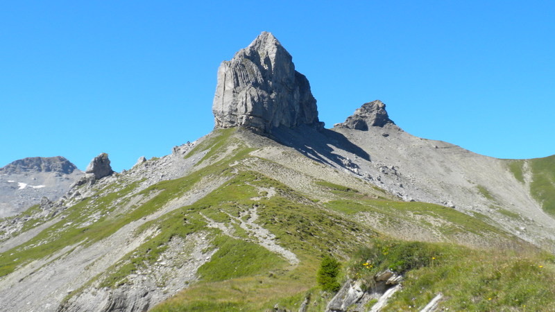 die Lobhörner rücken näher