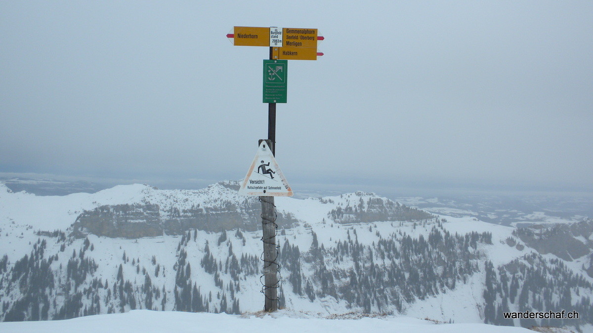 auf dem Burgfeldstand