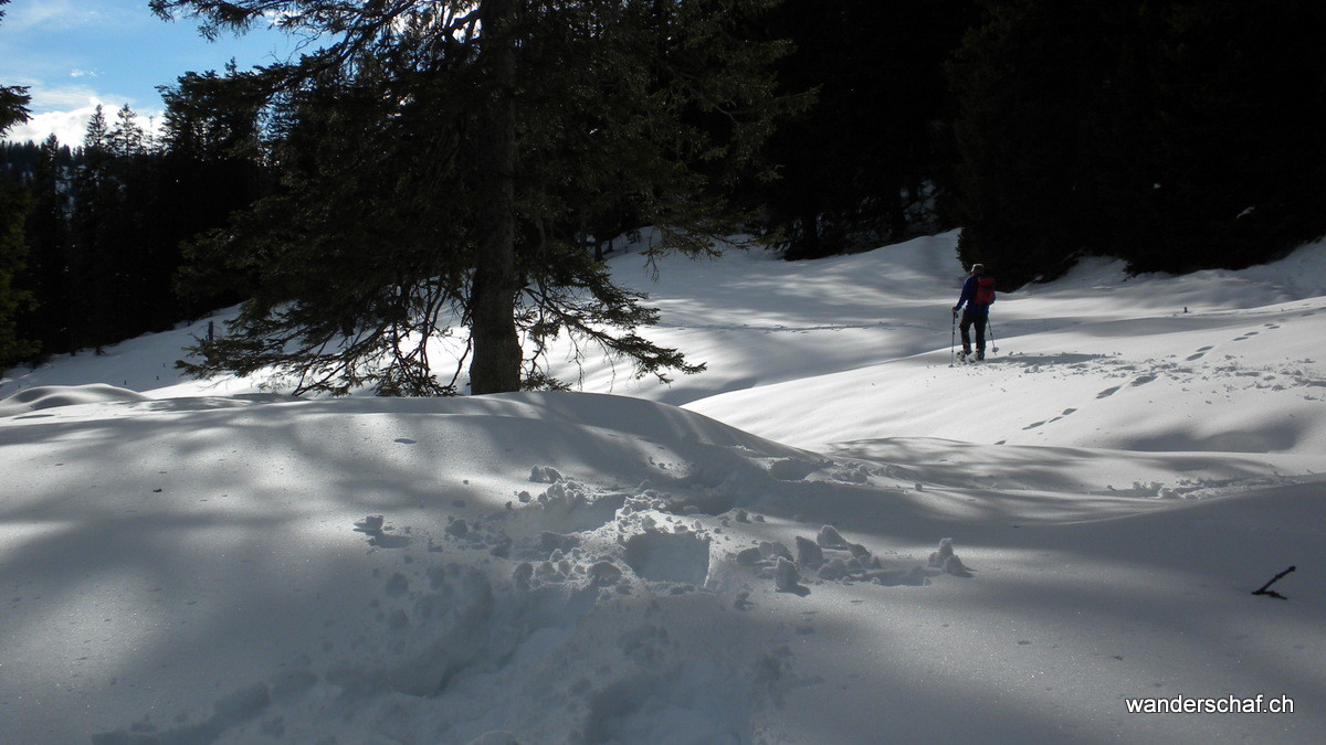 auf dem Weg Richtung Schrotenegg