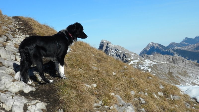 auf der Traverse zum Gipfel