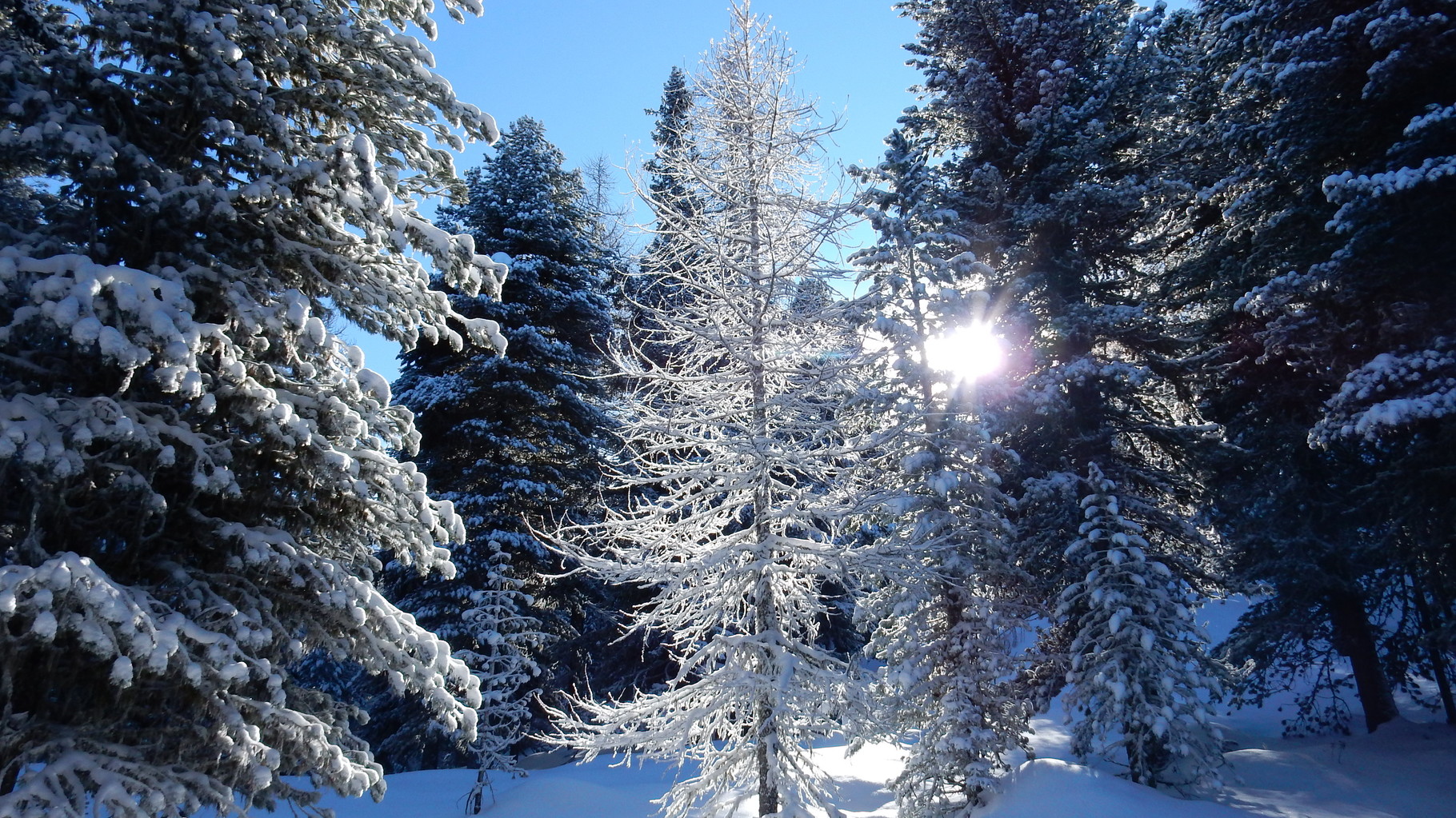 Das nennt man Winter!