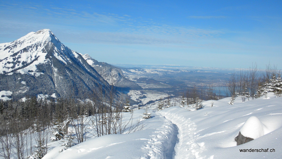 Niesen mit Thunersee
