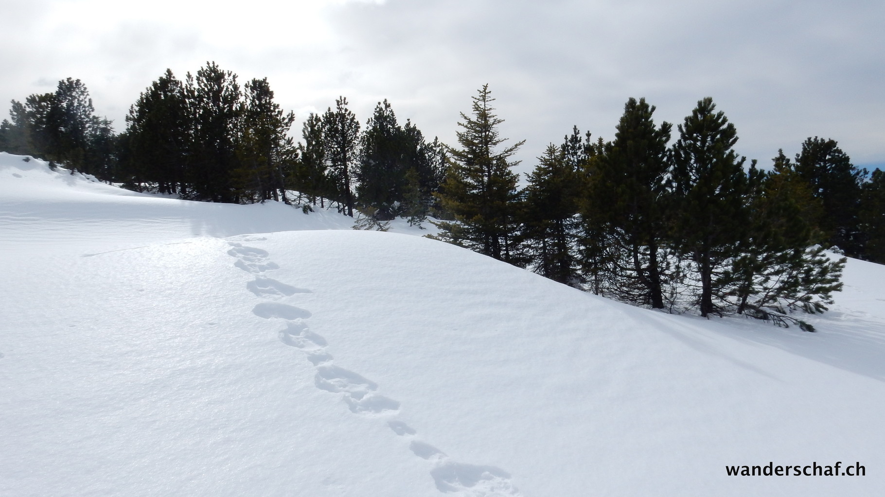 Abstieg über Trogenegg