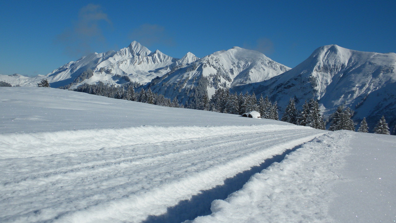 unterwegs beim Nollen; Blick Richtung Brienzergrat