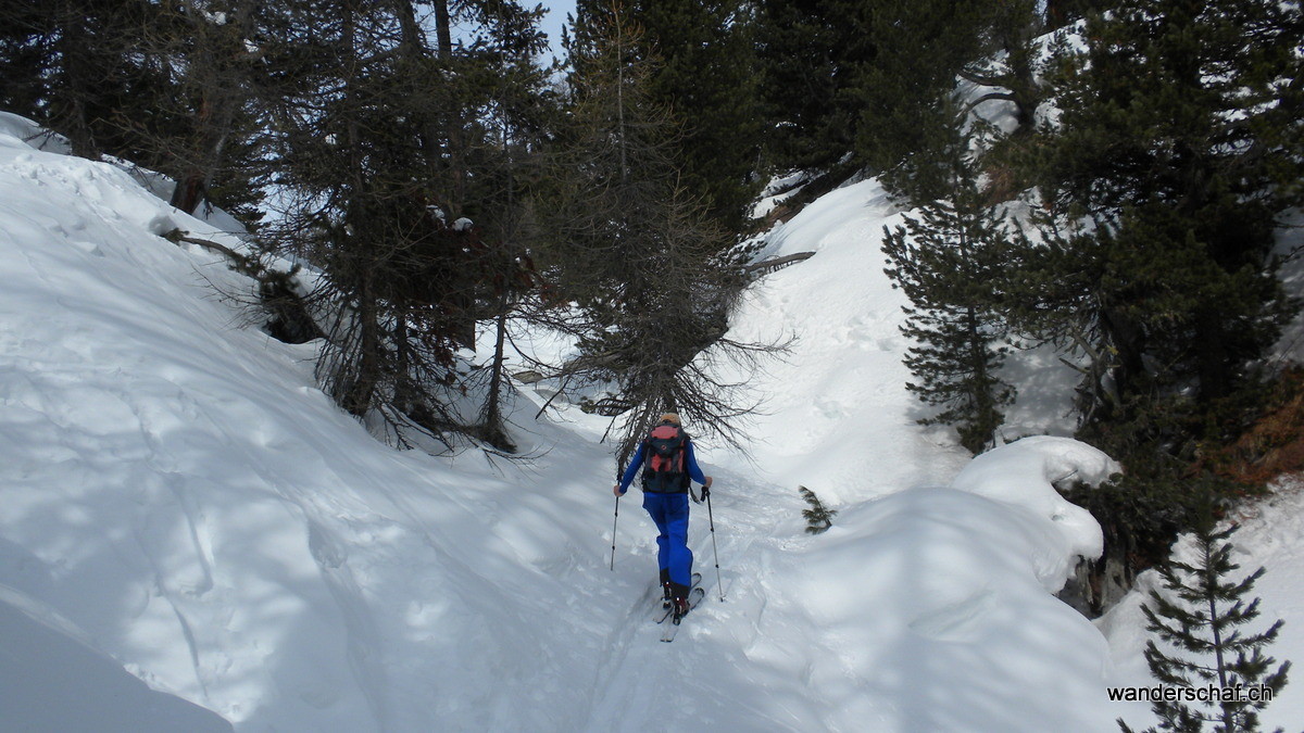 Aufstieg in der steilen Waldpartie