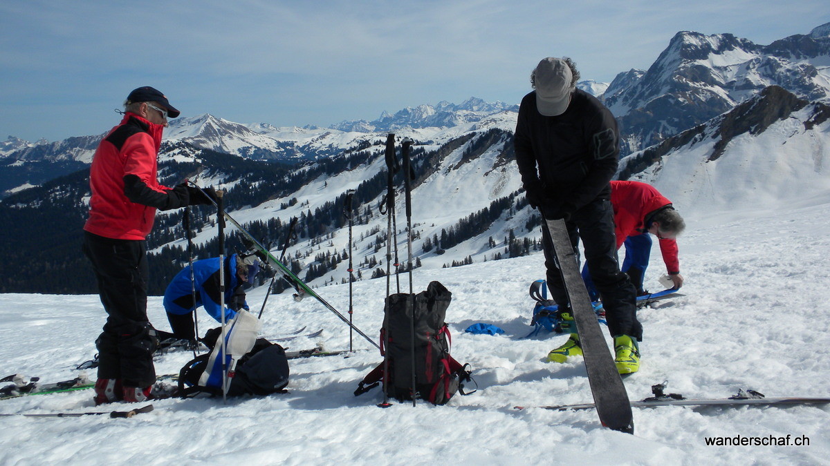 nun wird wieder angefellt....