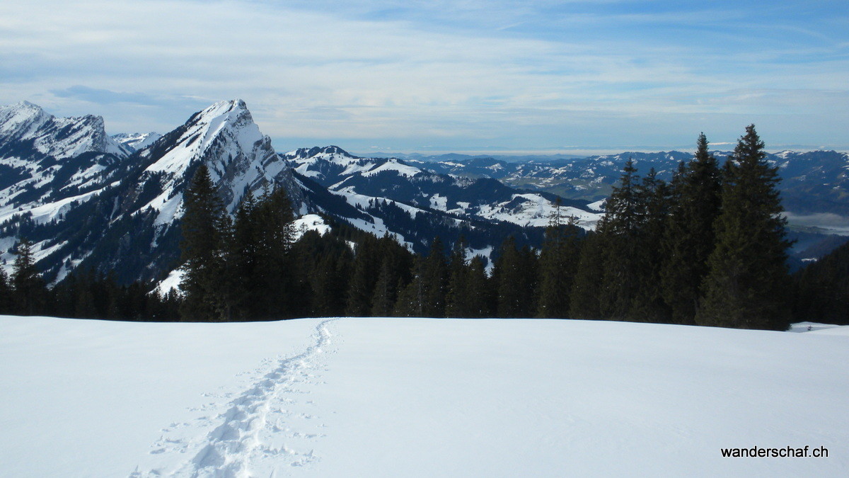Richtung Mittelland gibt's Nebel
