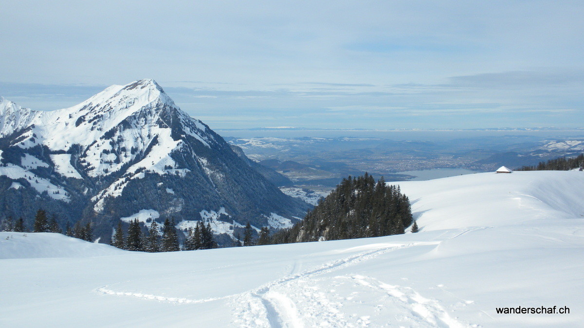 Niesen mit Schatthus