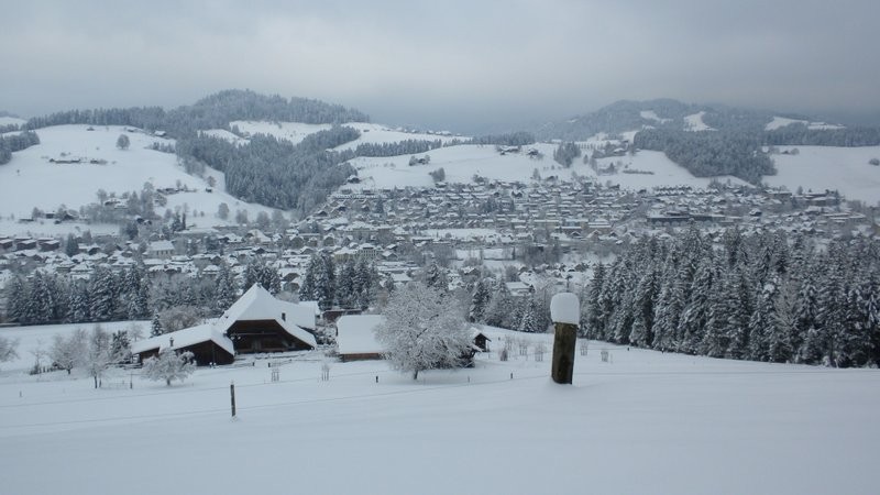 verschneites Langnau