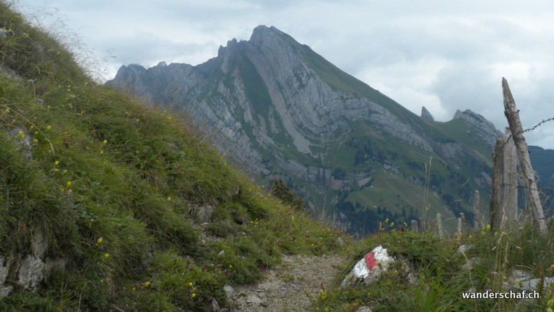 Wildhuser Schafberg