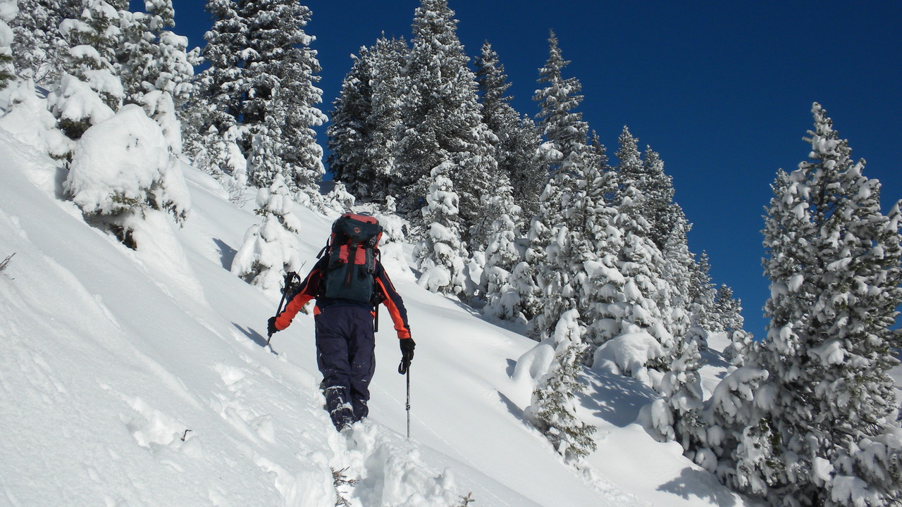 teilweise geht's durch hüftiefen, bodenlosen Pulverschnee