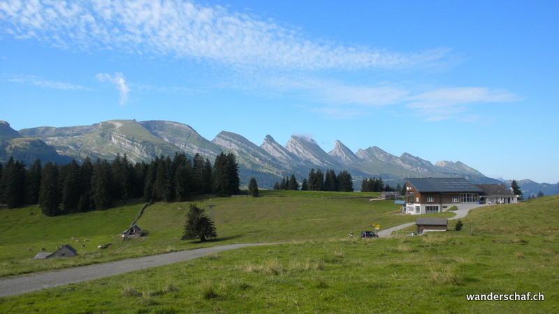Gamplütt mit Churfirsten im Hintergrund