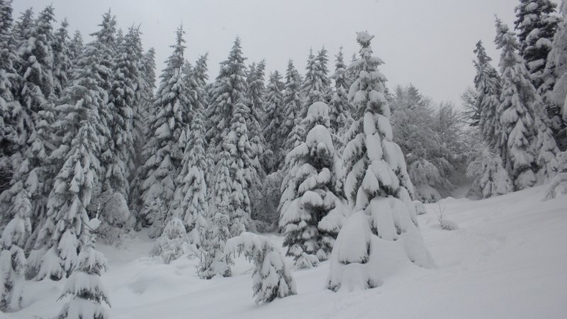 im Abstieg Richtung Schluecht