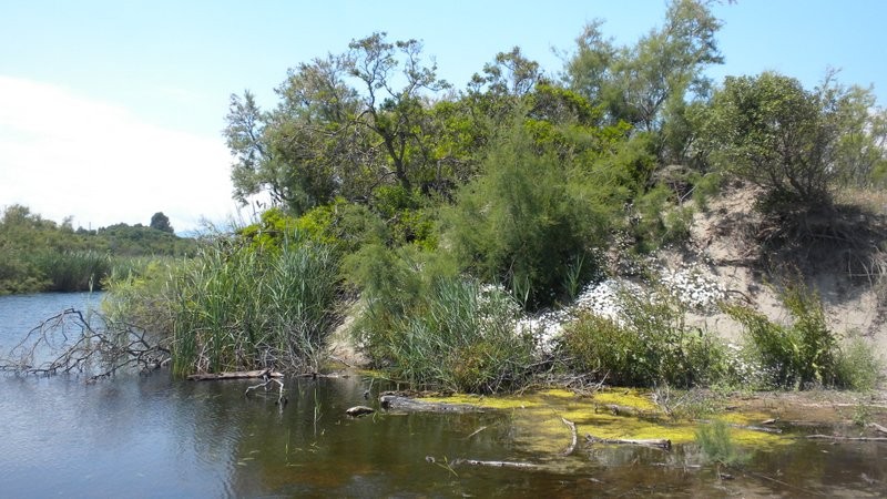 Einer der Süsswasserseen, welcher direkt am Strand gelegen ist.
