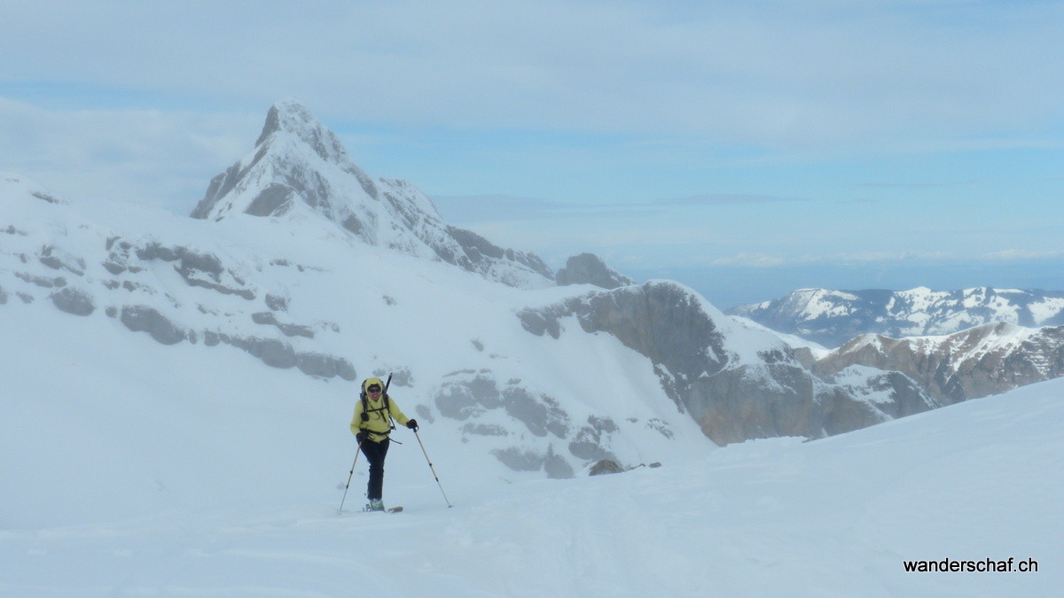 Hundstock im Hintergrund