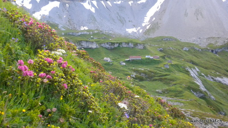 letzter Blick zurück zur Alp