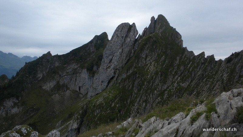 Gamschopf bei Lauchwis