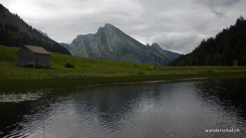 Richtung Wildhuser Schafberg