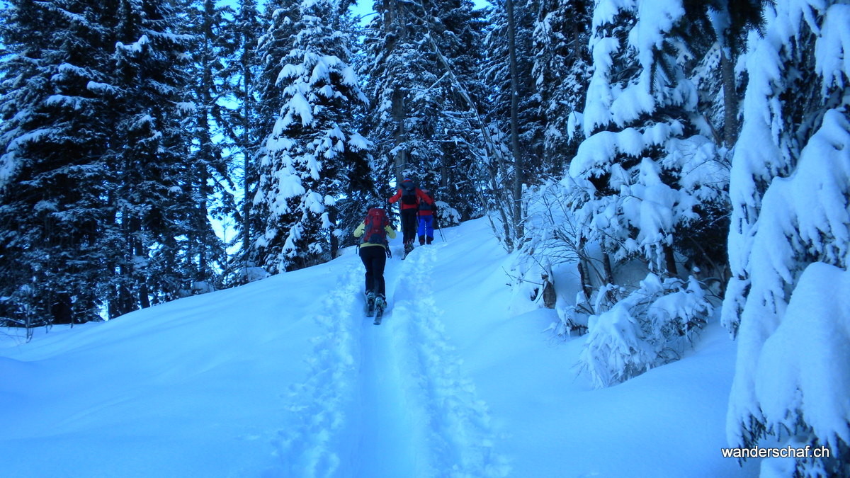 Aufstieg durch die verschneite Märchenlandschaft im Bawald
