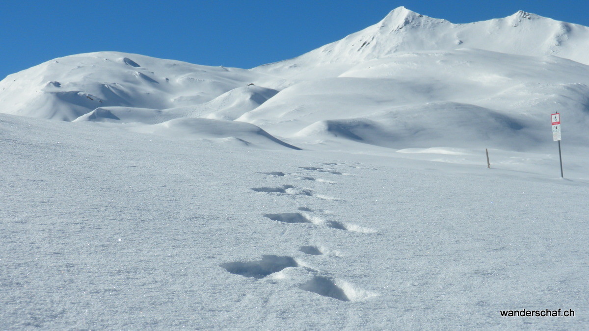 Mattner First und Firsthöreli in Sicht