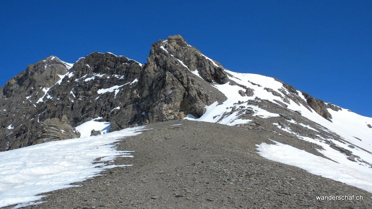 bis dort oben zum Schnee werden die Skier getragen