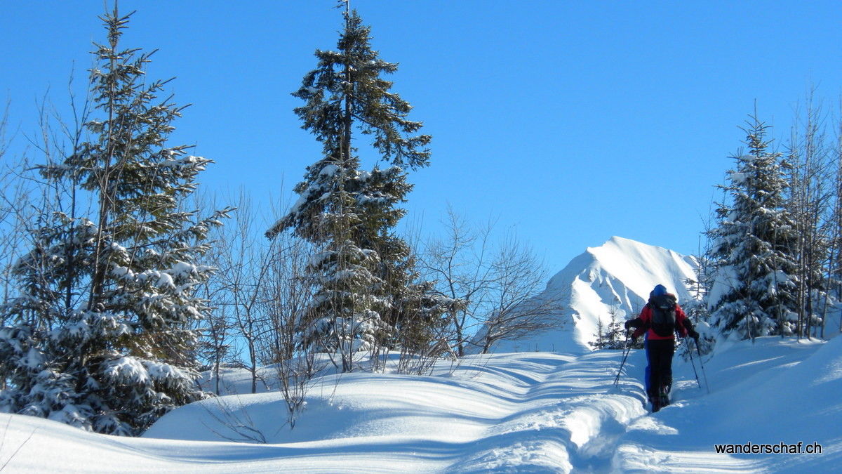 Morgenberghorn glüüsslet füre