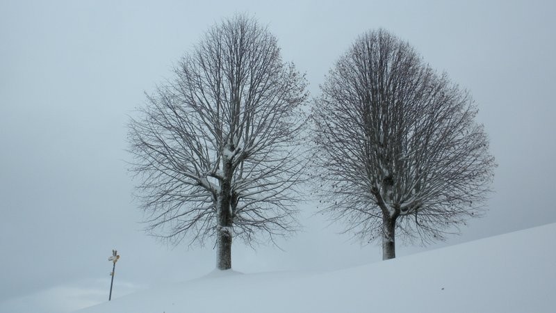 Aussichtspunkt oberhalb Strick