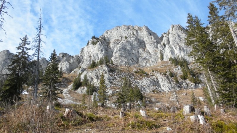 Blick zum Niderhore rauf