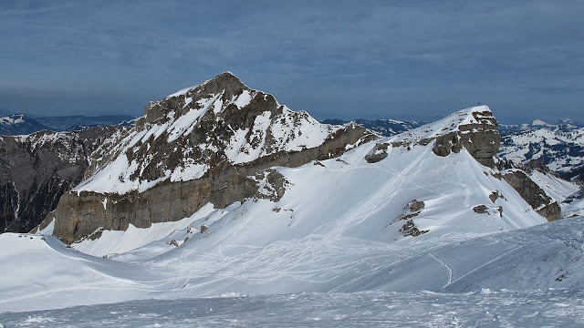 der Siwfass erweckt das Interesse vom nimmer müden Füchslein ;o)
