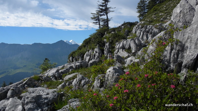 Blick Richtung Brienzergrat