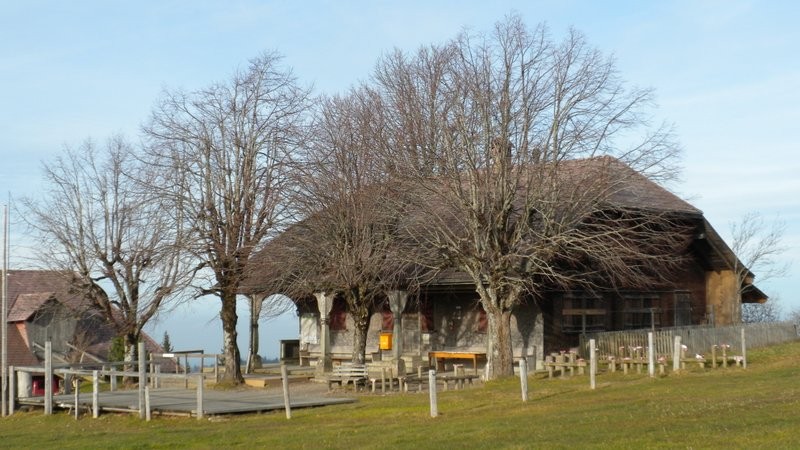 die momentan verlassene, während dem Alpsommer bewirtete Lushütte