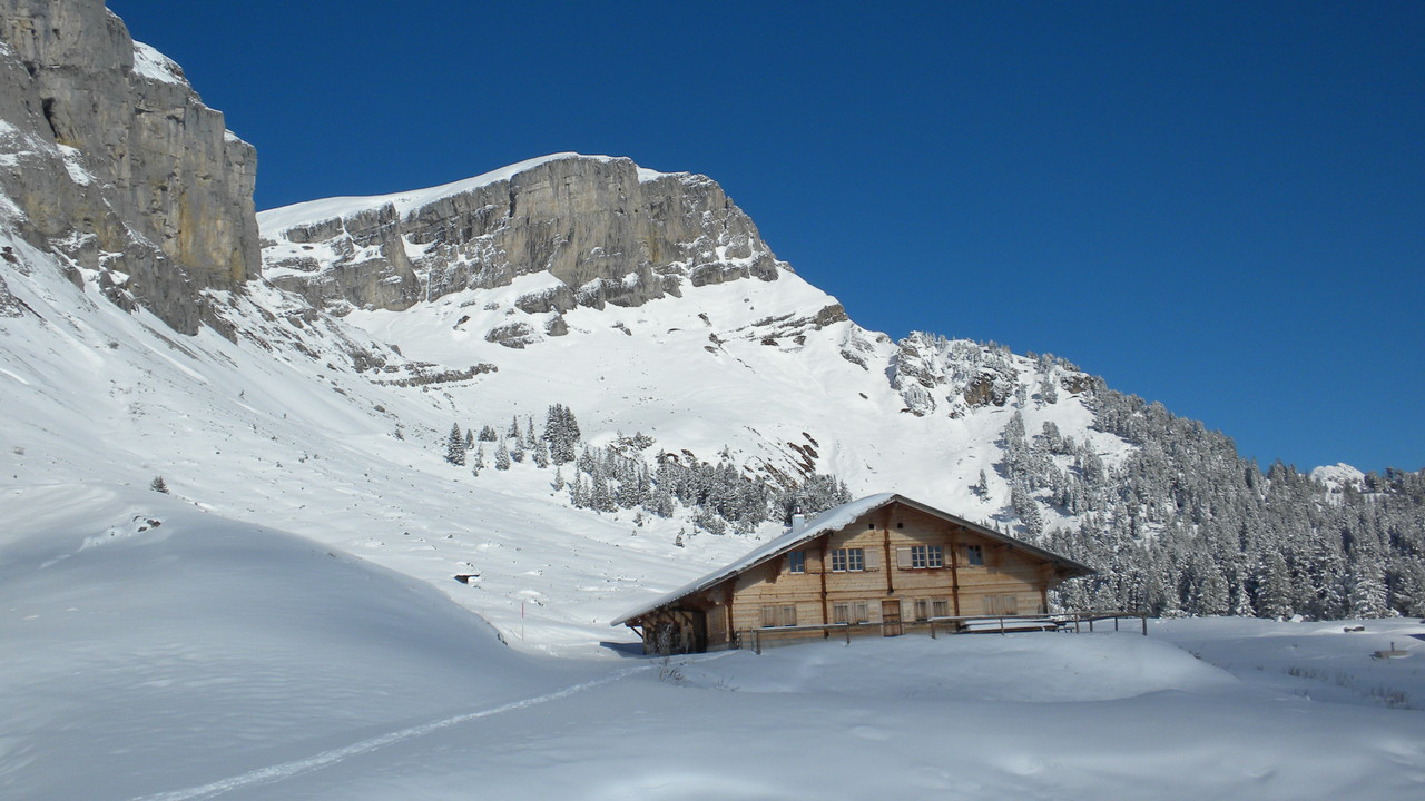 Blick zurück zum Furggengütsch und Hohganthüttli
