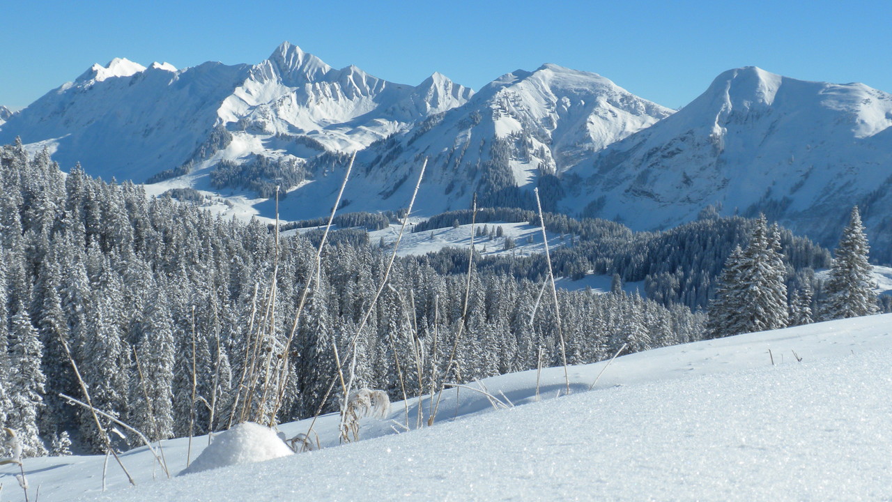 Tannhorn und Schnierenhörnli
