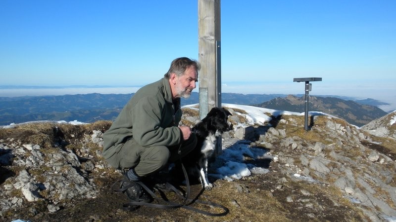 die frechen Dohlen werden scharf beobachtet