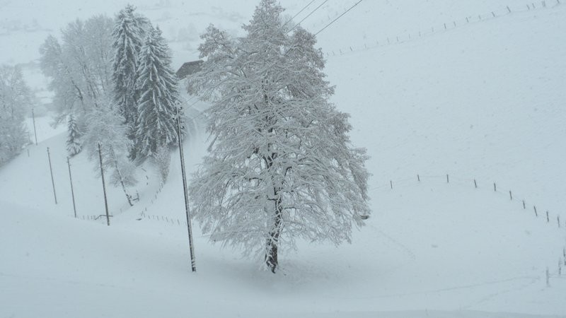 im Aufstieg von Linden 